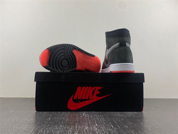Jordan 1 Retro High Element Gore-Tex Black Infrared DB2889-002