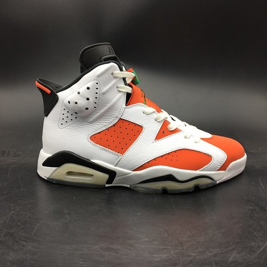 Air Jordan 6