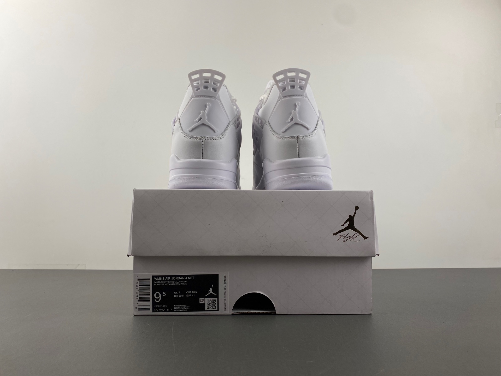 Air Jordan 4 FV7251-107